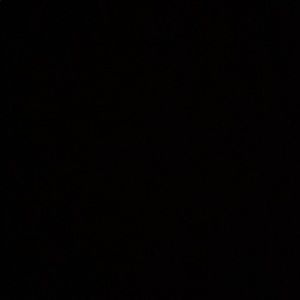 Meet your Posher, Tracei